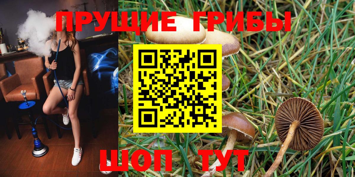 Галлюциногенные грибы мицелий Обнинск